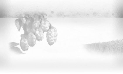 The House of LaRose – SalesMarketer